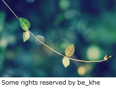 Some_rights_reserved_by_be_khe-1.jpg