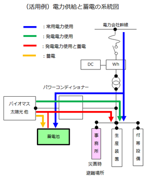 oosumi_5-001.png