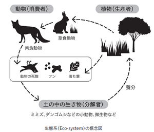 180424_eco-system.png