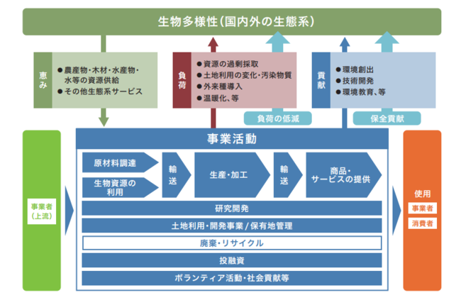 Relationship between business activities and biodiversity.png