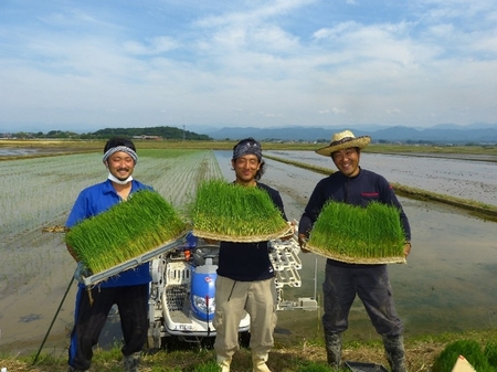 wakatenae.jpg