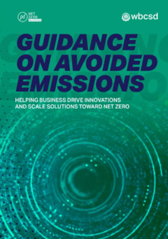 guidance on avoided emissions.png