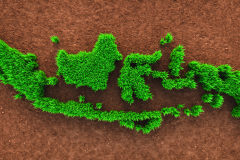 indonesia_thumbnail.png