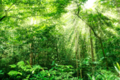 naturepositive.png