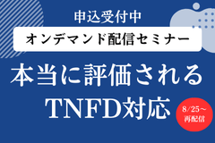 tnfdbanner.png