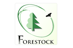 190801_forestock_logo.png