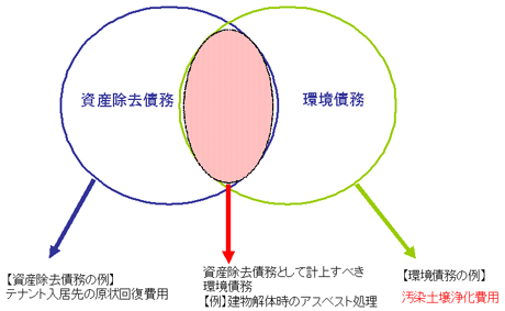 20121113_kimizu_001.jpg