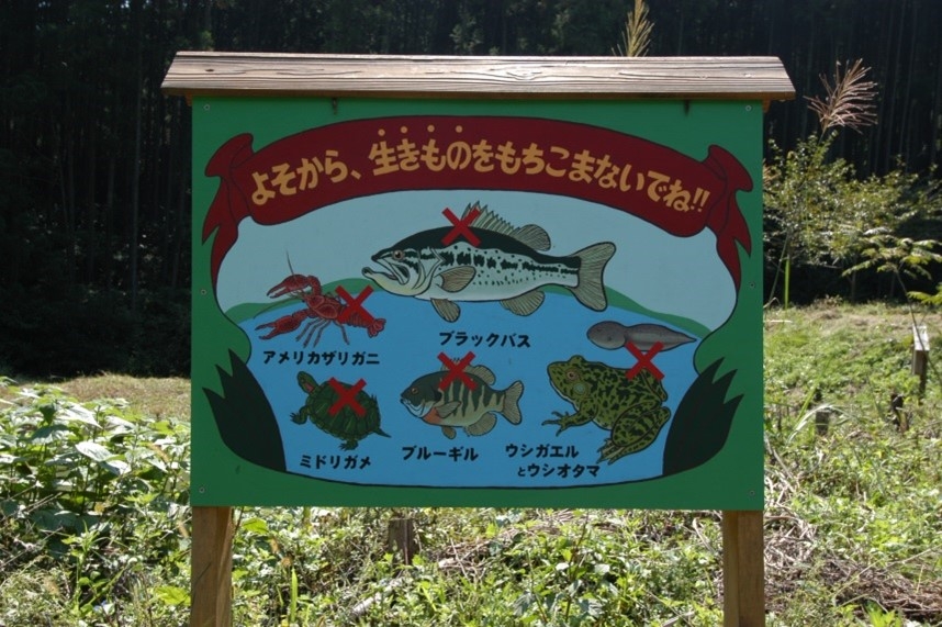 外来生物.jpg