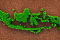 indonesia_1.png