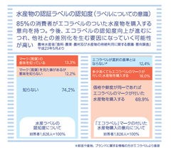 research_ecolavel.png