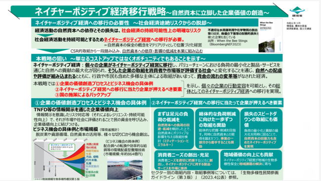 Nature Positive Economy Transition Strategy1.png