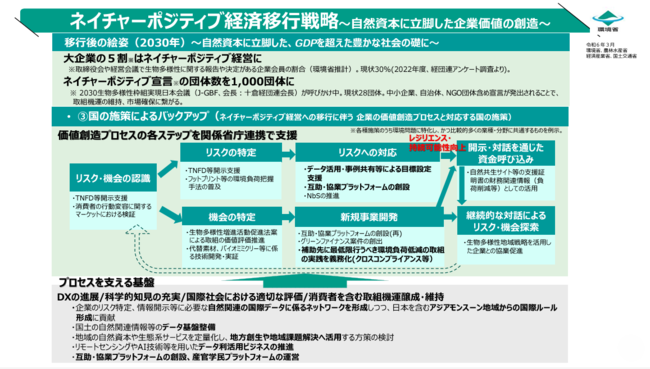 Nature Positive Economy Transition Strategy2.png
