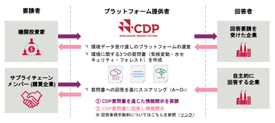 CDP２.png